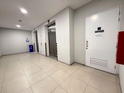 Ct Hub (D12), Factory #604750021